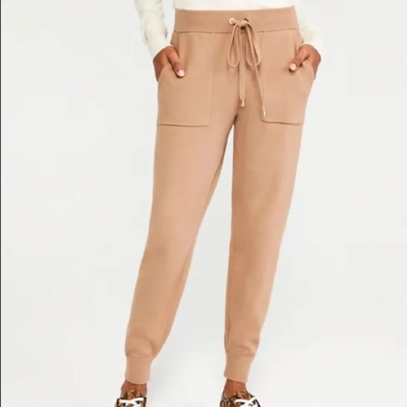 New ANN TAYLOR The Sweater Jogger Pant Tan XXL 557009 - Picture 13 of 13